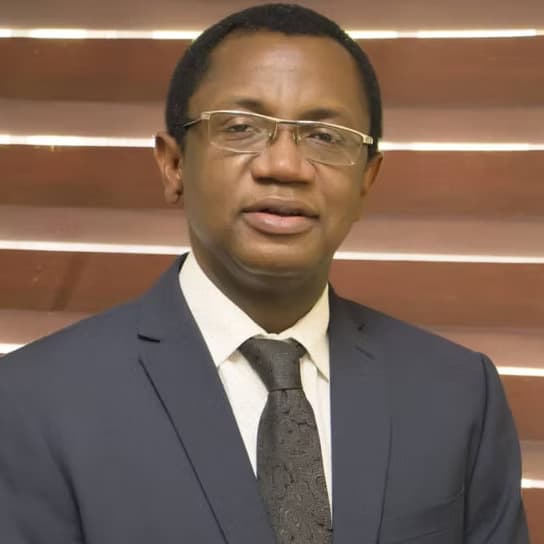 Prof. Dike Ojiji